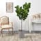6ft. Fiddle Leaf Fig Artificial Tree in Handmade Black and White Natural Jute and Cotton Planter